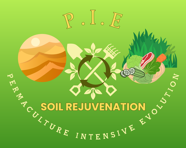 Permaculture Intensive Evolution
